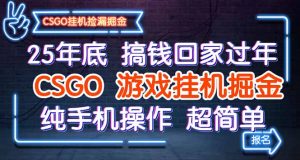 25年底搞钱回家过年，CSGO游戏挂机掘金，纯手机操作超简单-云享网创