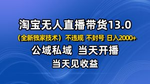 淘宝无人直播13.0，公域私域技术，不封号，不违规 布局下半年旺季赛道，日入2000+-云享网创