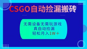 CSGO自动捡漏搬砖，当天操作当天见结果，无需了解游戏，包教包会包落地-云享网创