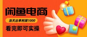 闲鱼高利润电商,当天上架当天出单,一单利润300-云享网创