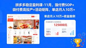 拼多多稳定盈利课-11月，强付费SOP+微付费高投产+活动矩阵，单店月入10万+-云享网创