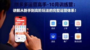 拼多多运营高手-10月训练营：讲解从新手到高阶玩法的完整运营体系！-云享网创