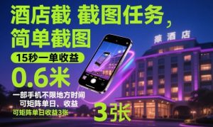 酒店截图任务,简单截图,15秒一单收益0.6米,一部手机不限地方时间,可矩阵单日收益3张【揭秘】-云享网创