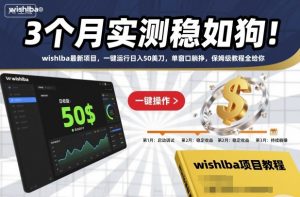 3个月实测稳如狗!wishlba最新项目,一键运行日入50美刀,单窗口躺挣,保姆级教程全给你【揭秘】-云享网创