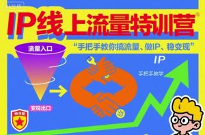 IP线上流量特训营，手把手教你搞流量、做IP、稳变现-云享网创