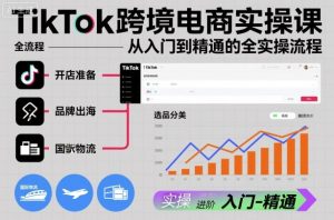 TikTok跨境电商实操课，从入门到精通的全实操流程-云享网创