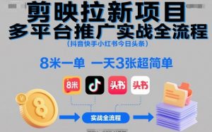 剪映拉新项目多平台推广实战全流程(抖音快手小红书今日头条)，8米一单，一天3张超简单-云享网创