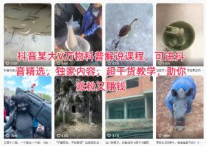抖音某大V万物科普解说课程，可进抖音精选，独家内容，超干货教学，助你涨粉又賺钱-云享网创