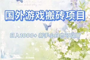 国外游戏搬砖项目，日入1k+，全自动解放双手，新手小白也可做【揭秘】-云享网创