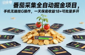 番茄采集全自动掘金项目,手机无脑挂G操作,一天保底收益18+可批量多开【揭秘】-云享网创