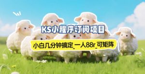 小程序订阅项目_小白几分钟搞定，一人88米，可矩阵(已测到账)-云享网创