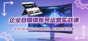 企业自媒体账号运营实战课：定位打造+ 爆款内容+数据优化，快速提升账号权重-云享网创