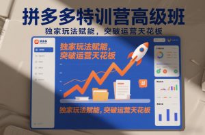 拼多多特训营高阶班，独家玩法赋能，突破运营天花板(更新26年3月)-云享网创